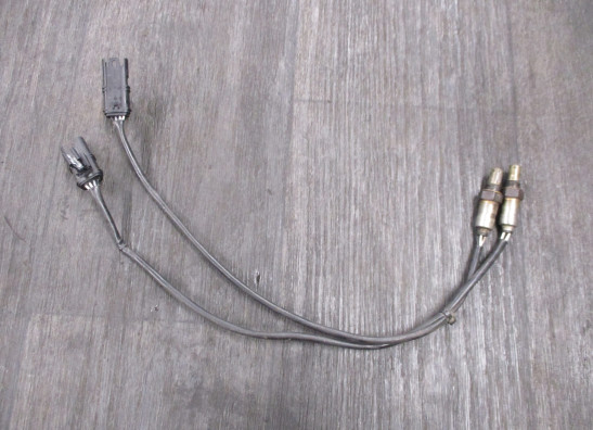 Lambdasonde BMW S 1000 R 2017-2020