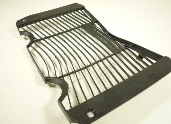 Kuhler Teile Yamaha FZ1