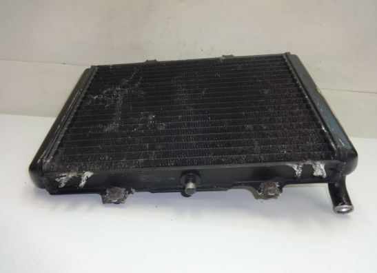 Kuhler Kawasaki GPZ 600