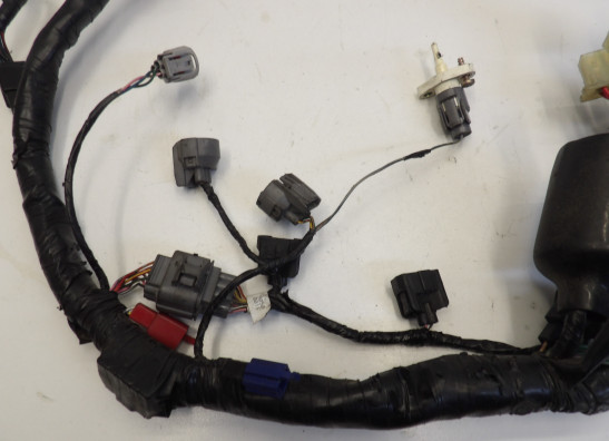 Kabelboom Honda CBR Fireblade