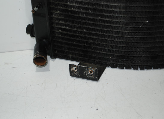 Radiator Yamaha GTS 1000