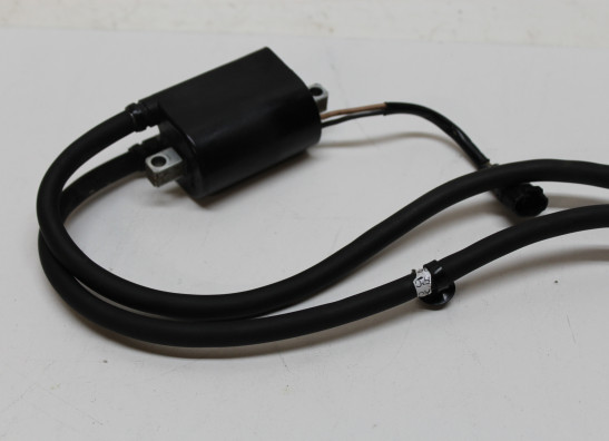 Zundspule Suzuki DL 650 V STROM