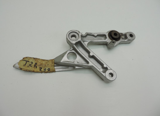 Rechter schetsplaat Yamaha TZR 250