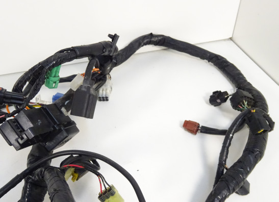 Kabelbaum Suzuki GSX F 650