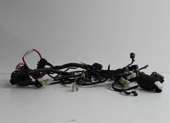 Kabelbaum Yamaha YZF R 125