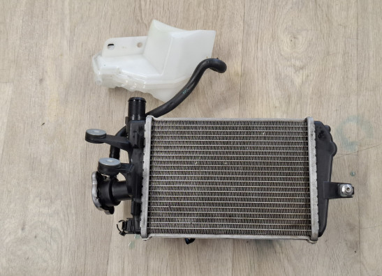 Radiateur BMW R 1200 GS LC