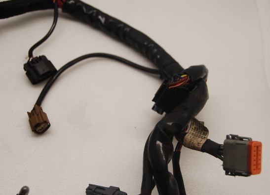 Kabelboom Harley Davidson VROD VRSC