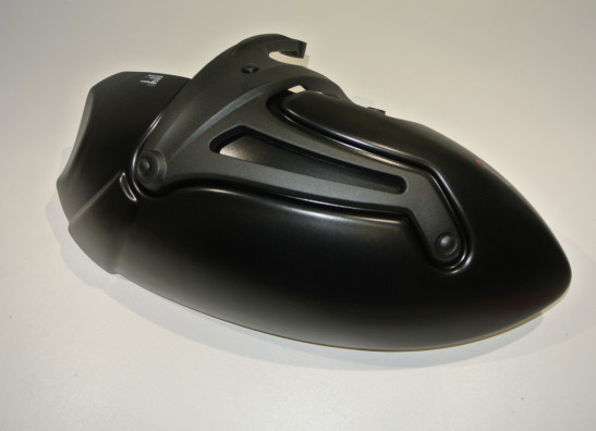 Hinterradabdeckung BMW R 1200 R