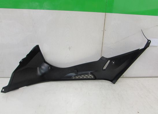 Tankschutz BMW S 1000 RR