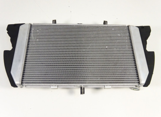Radiator Kawasaki Z 1000 Sx