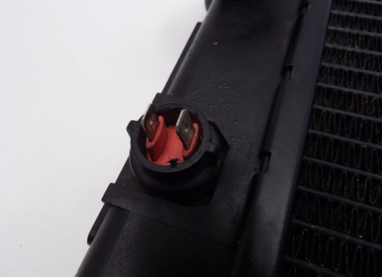 Kuhler Triumph Trophy 900