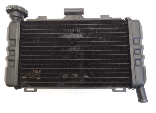 Radiator Honda VTR 250