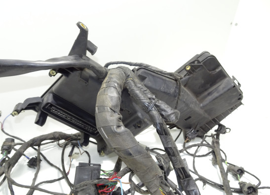 Kabelboom BMW K 1200 GT