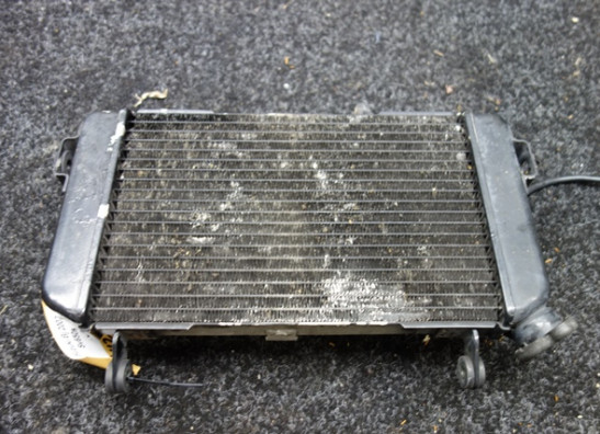 Radiateur Suzuki SV 650