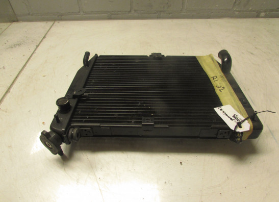 Kuhler Yamaha YZF R1