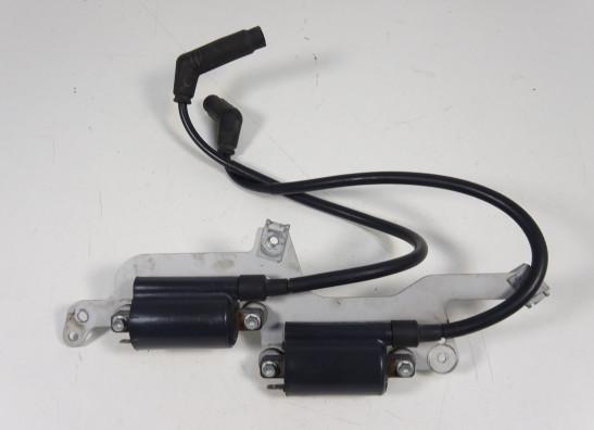 Bobine Aprilia Tuono 1000