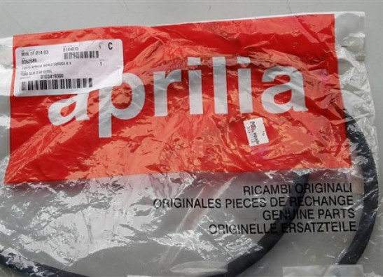 Overig Aprilia RSV 1000