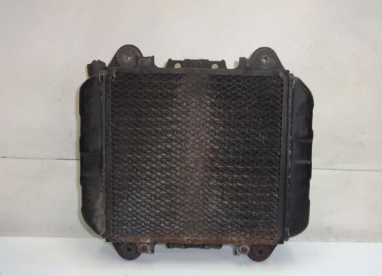 Radiateur Kawasaki ZZR 250