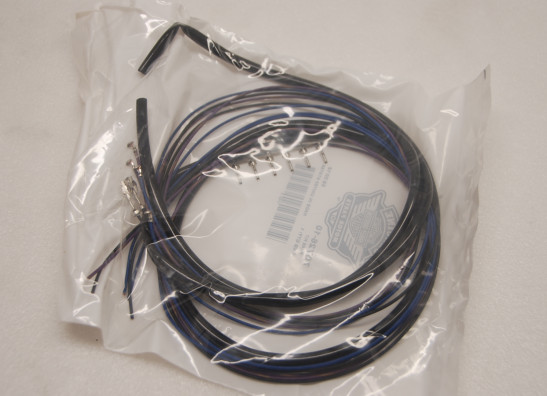 Knipperlicht Harley Davidson Sportster