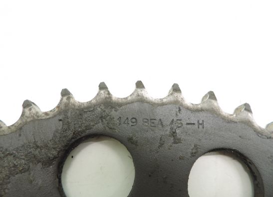 Chain Triumph Trophy 1200