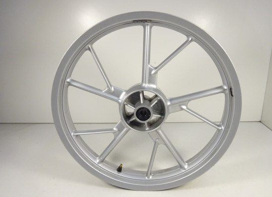 Voorvelg BMW F 650 GS 2008-2013