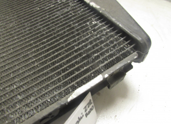 Kuhler Kawasaki ZXR 400