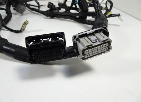 Kabelboom Kawasaki Ninja 650