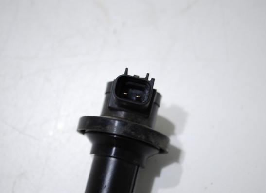 Bobine Yamaha YZF R6