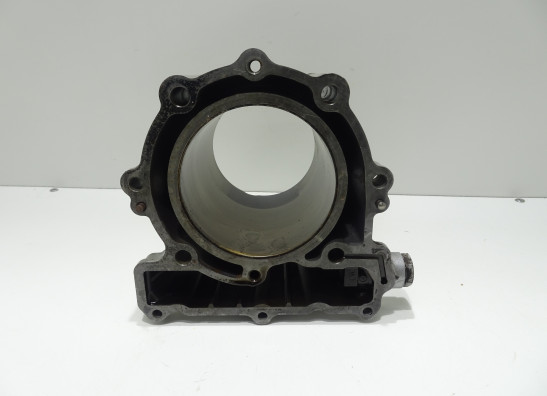 Cilinderblok BMW F 650 CS Scarver