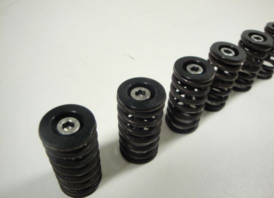 Koppeling Ducati Multistrada 1100