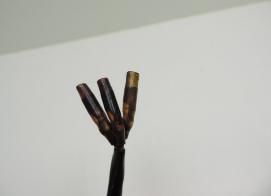 Dynamo Kawasaki Z 750