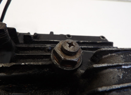 Olwanne Yamaha V max