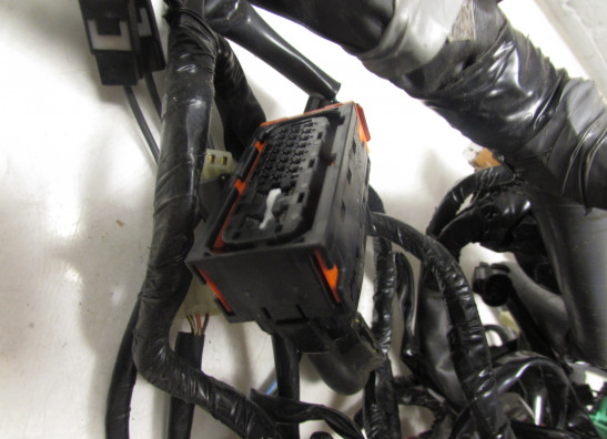Wire Harness Kawasaki GTR 1400