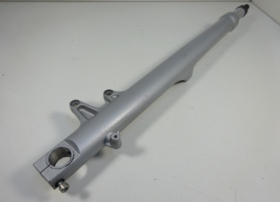 Standrohr Gabelholm rechts komplett BMW R 1200 RT