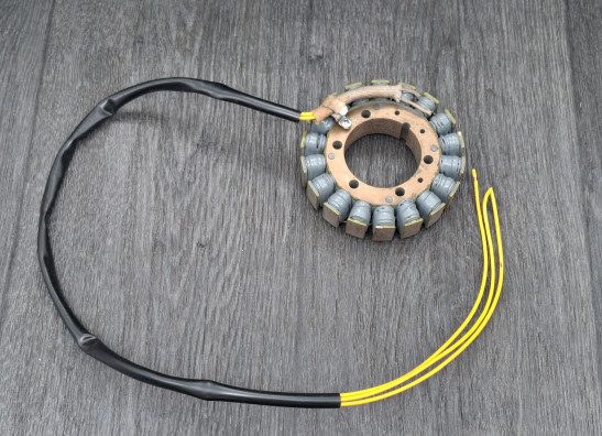 Lichtmaschine Yamaha TDM