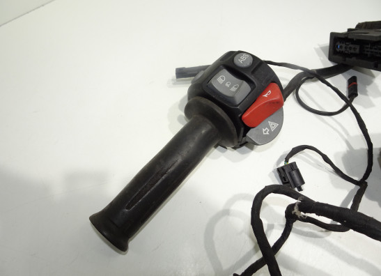 Kabelbaum BMW F 650 GS