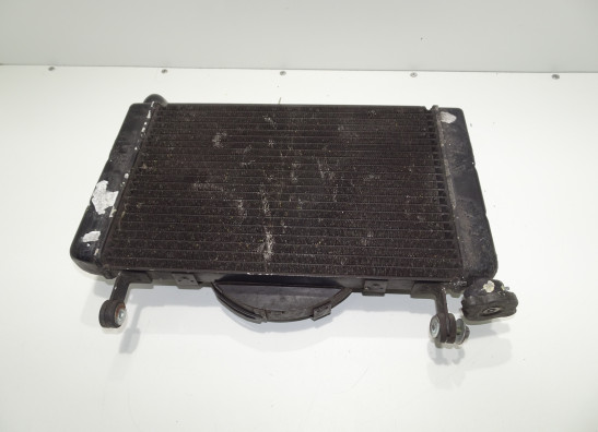 Radiator Yamaha YZF 600 Thundercat