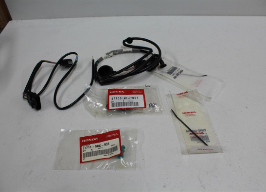 Kabelboom Honda CBF 600
