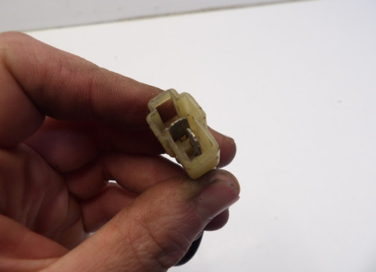 Fan Kawasaki ZX 10 R