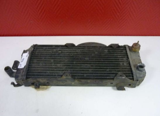 Kuhler Honda VT 700 750