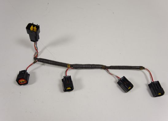 Wire Harness Kawasaki Z 1000