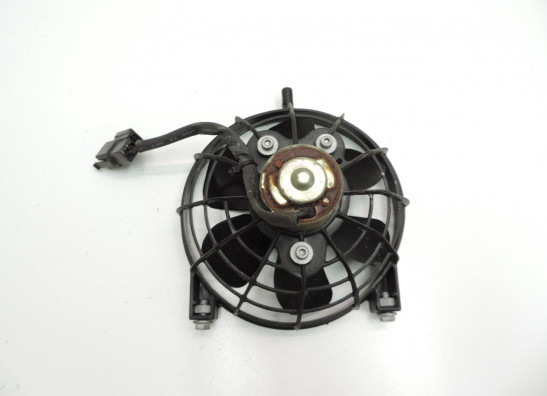 Fan Aprilia RSV 1000