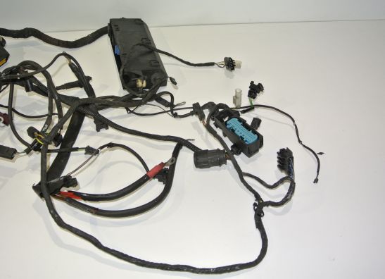 Kabelboom BMW R 1100 S