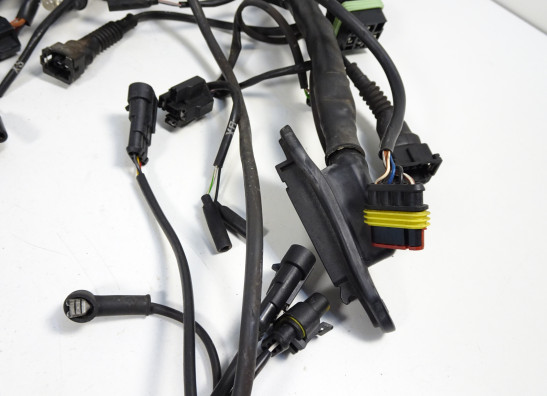 Kabelboom Ducati 750 SS Supersport