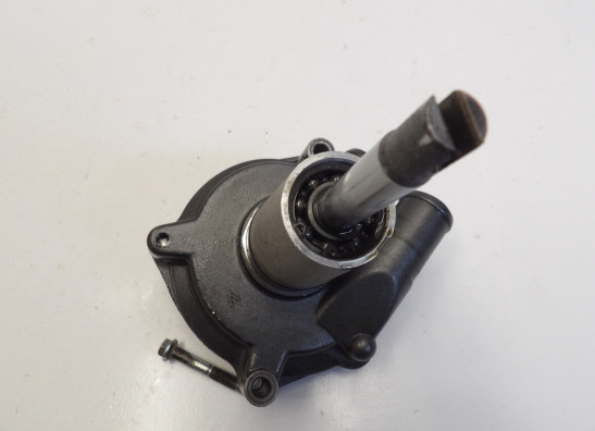 Wasserpumpe Benelli TRK 502 X