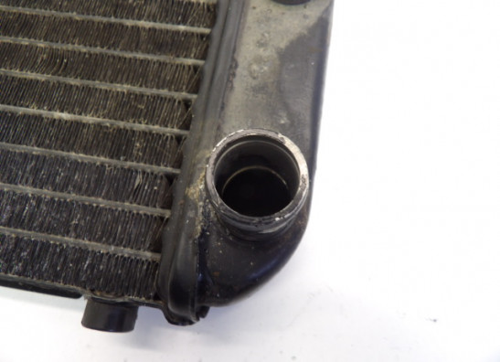 Kuhler Kawasaki EL 250