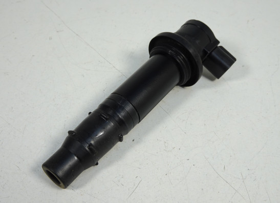 Bobine Yamaha FZ1