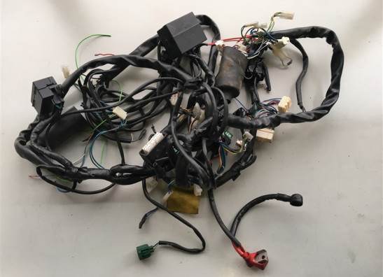 Kabelboom Aprilia Tuono 1000