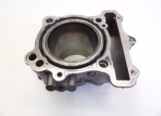 Zylinder Suzuki DL 650 V STROM