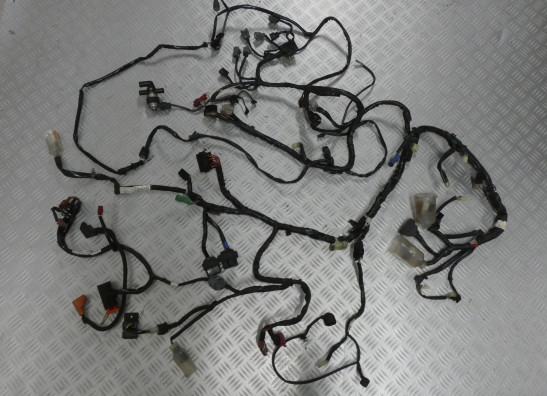 Kabelboom Honda CBF 1000 2010-2012